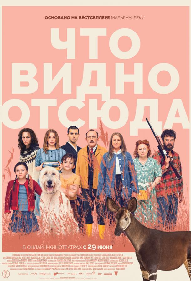 Смотреть Что видно отсюда